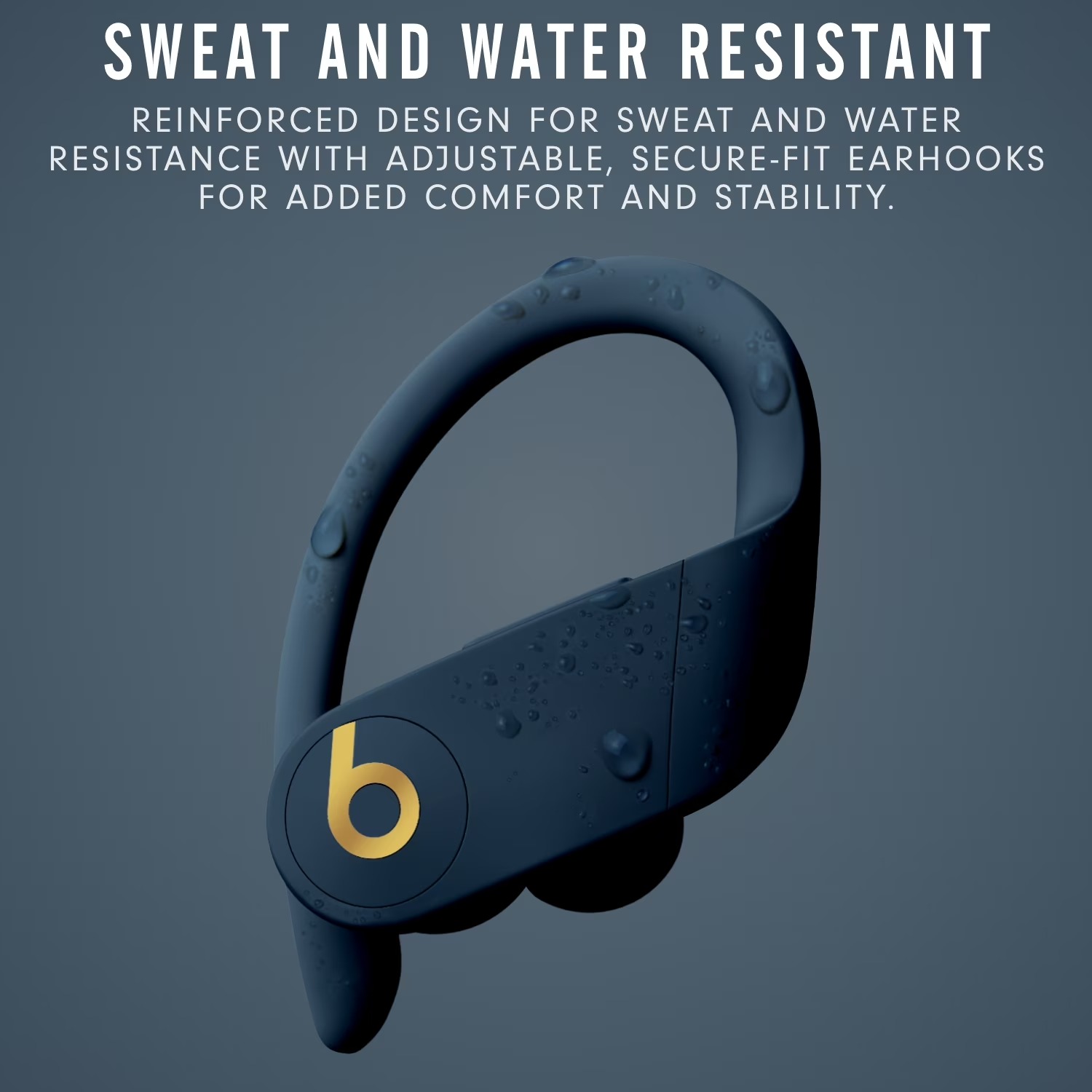 Beats Powerbeats Pro True Wire - Beats Headphone Powerbeats Pro 评论和价格